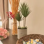 金海湾@Dangabay Yi Jia Homestay3房2厕顶楼豪华版4-12人适合家庭入住